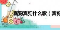 賓狗賓狗什么歌(賓狗什么意思)