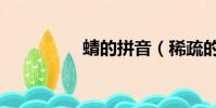 蜻的拼音(稀疏的拼音)