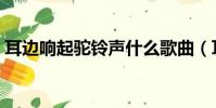 耳邊響起駝鈴聲什么歌曲(耳邊響起駝鈴聲)