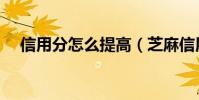 信用分怎么提高(芝麻信用分怎么提高)