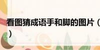 看圖猜成語手和腳的圖片(看圖猜成語手和腳)