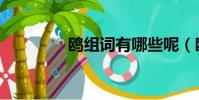 鷗組詞有哪些呢(鷗組詞)