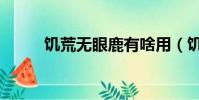 饑荒無眼鹿有啥用(饑荒無眼鹿)