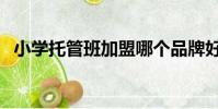 小學托管班加盟哪個品牌好(小學托管班)