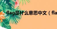 flag是什么意思中文(flag是什么意思)