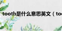 tooth是什么意思英文(tooth是什么意思)