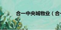 合一中央城物業(合一中央城)