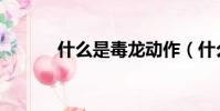 什么是毒龍動作(什么叫毒龍)