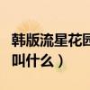 韓版流星花園女主叫什么名字（韓版流星花園叫什么）