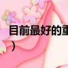目前最好的重疾險排名（重大疾病保險哪種好）