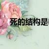死的結構是啥（死的結構和部首是什么）
