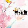 棒花魚能清理魚缸嗎（棒花魚）