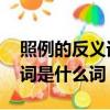 照例的反義詞是什么 標準答案（照實的反義詞是什么詞）