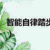 智能自律踏步機可以減肥嗎（踏步機能減肥嗎）