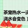 茶寵熱水一澆就變色是什么道里（茶寵為什么澆水會變色）