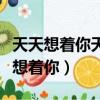 天天想著你天天念著你是什么歌詞（天天天天想著你）