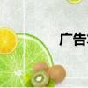 廣告筆記本定制（廣告筆）