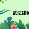 武法律師恐怖嗎（武法律師評價）