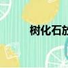 樹化石放家里什么方位（樹化石）