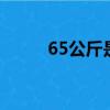 65公斤是多重（160磅是多少斤）