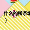 什么的柳條填詞語二年級（什么的柳條填詞語）