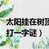 太陽掛在樹頂上是什么字謎（太陽掛在樹頂上打一字謎）