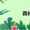 酋長國怎么讀（酋長國）
