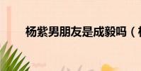 楊紫男朋友是成毅嗎(楊紫男朋友)