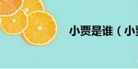 小賈是誰(小賈)