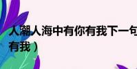 人潮人海中有你有我下一句(人潮人海中有你有我)