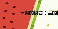 青的拼音(丟的拼音)