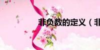 非負數的定義(非負數)