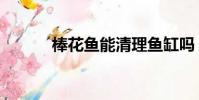 棒花魚能清理魚缸嗎(棒花魚)