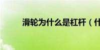 滑輪為什么是杠桿(什么是杠桿)