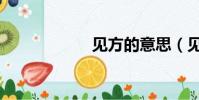見方的意思(見方)