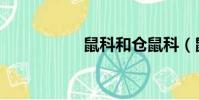 鼠科和倉鼠科(鼠科)