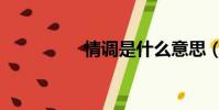 情調是什么意思(情調)