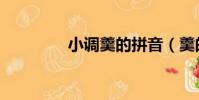 小調羹的拼音(羹的拼音)