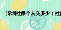 深圳社保個人交多少(社保個人交多少)