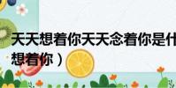 天天想著你天天念著你是什么歌詞(天天天天想著你)