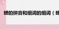 蟬的拼音和組詞的組詞(蟬的拼音和組詞)