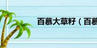 百慕大草籽(百慕大草)