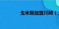 戈米斯加盟川崎(戈米斯)