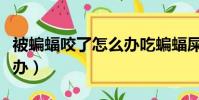 被蝙蝠咬了怎么辦吃蝙蝠屎(被蝙蝠咬了怎么辦)