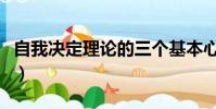 自我決定理論的三個基本心理(自我決定理論)