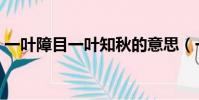 一葉障目一葉知秋的意思(一葉知秋的意思)