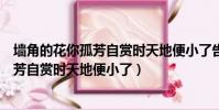 墻角的花你孤芳自賞時天地便小了告訴我們(墻角的花你孤芳自賞時天地便小了)