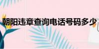 朝陽違章查詢電話號碼多少(朝陽違章查詢)