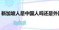 新加坡人是中國人嗎還是外國人(新加坡人)
