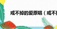 戒不掉的愛原唱(戒不掉的愛歌詞)